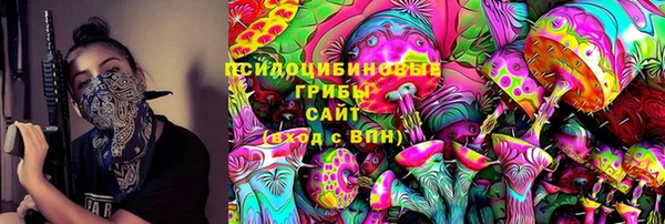 бошки Вязьма